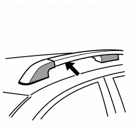 Bare longitudinale ridicate