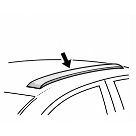 Bare longitudinale integrate